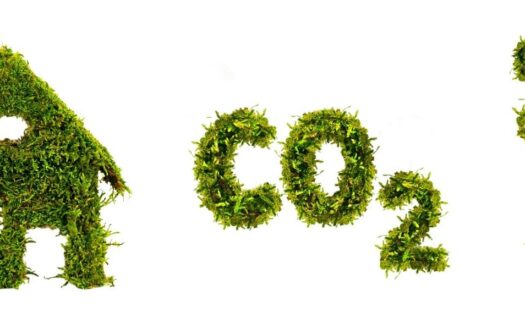 Construcción de viviendas bioclimáticas.